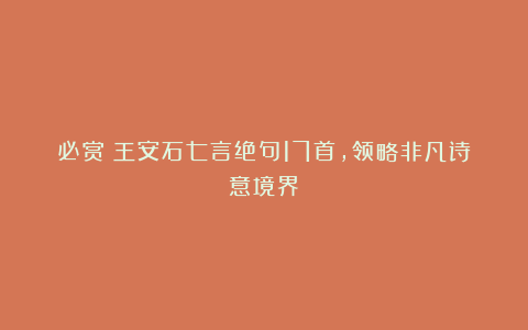 必赏!王安石七言绝句17首,领略非凡诗意境界