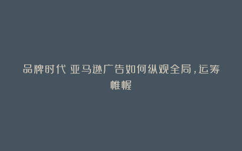 品牌时代:亚马逊广告如何纵观全局,运筹帷幄?