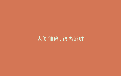 人间仙境,银杏落叶