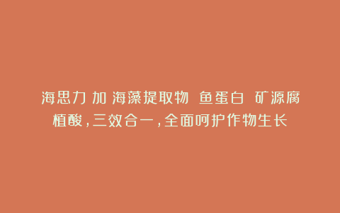 海思力®加:海藻提取物 鱼蛋白 矿源腐植酸,三效合一,全面呵护作物生长!