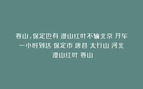 香山,保定也有!漫山红叶不输北京!开车一小时到达|保定市|唐县|太行山|河北|漫山红叶|香山