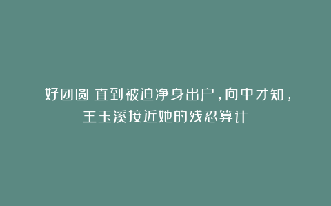 《好团圆》直到被迫净身出户,向中才知,王玉溪接近她的残忍算计
