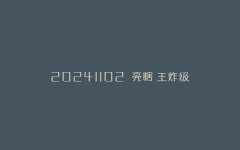 20241102 亮瞎!王炸级!