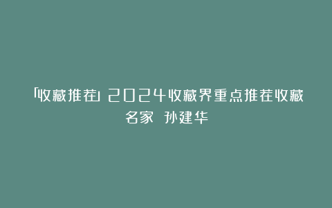 「收藏推荐」2024收藏界重点推荐收藏名家 孙建华