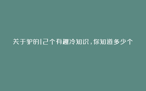 关于驴的12个有趣冷知识,你知道多少个?