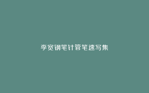 李宽钢笔针管笔速写集