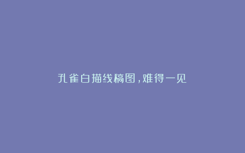 孔雀白描线稿图,难得一见!
