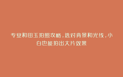 专业和田玉拍照攻略,选对背景和光线,小白也能拍出大片效果!