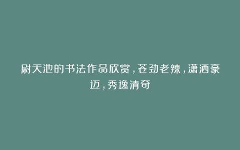 尉天池的书法作品欣赏,苍劲老辣,潇洒豪迈,秀逸清奇