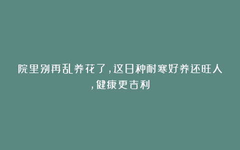院里别再乱养花了,这8种耐寒好养还旺人,健康更吉利!