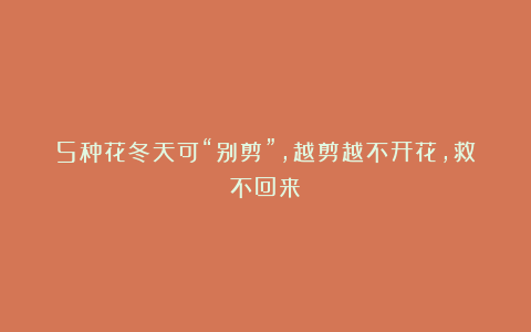5种花冬天可“别剪”,越剪越不开花,救不回来!