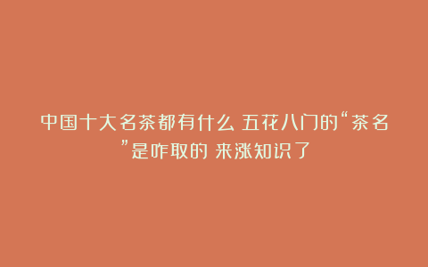 中国十大名茶都有什么?五花八门的“茶名”是咋取的?来涨知识了