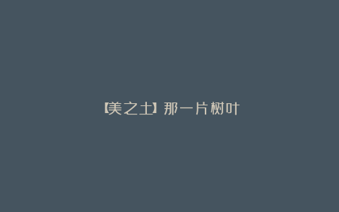 【美之土】那一片树叶