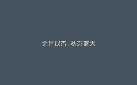 金色银杏，秋影蓝天