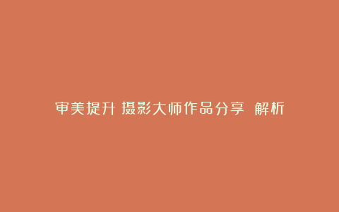 审美提升丨摄影大师作品分享 解析