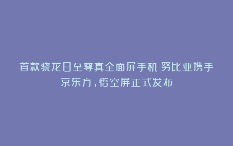 首款骁龙8至尊真全面屏手机!努比亚携手京东方,悟空屏正式发布