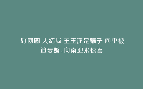 《好团圆》大结局:王玉溪是骗子!向中被迫复婚,向南迎来惊喜