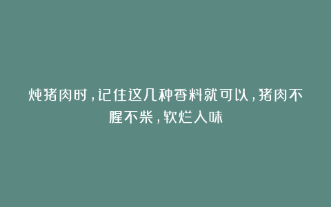 炖猪肉时,记住这几种香料就可以,猪肉不腥不柴,软烂入味