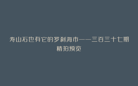 寿山石也有它的罗刹海市——三百三十七期精拍预览