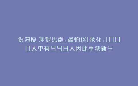 倪海厦:抑郁焦虑,最怕这1朵花,1000人中有998人因此重获新生!