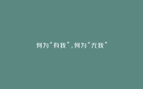 何为“有我”,何为“无我”