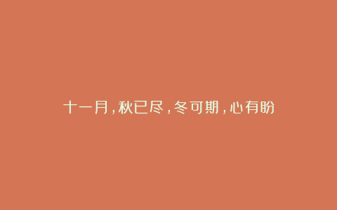 十一月,秋已尽,冬可期,心有盼