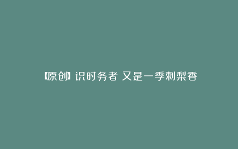 【原创】识时务者《又是一季刺梨香》