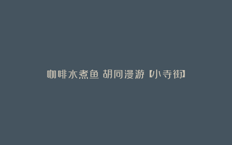 咖啡水煮鱼:胡同漫游【小寺街】