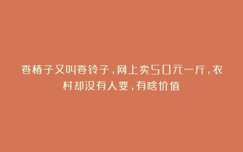 香椿子又叫香铃子,网上卖50元一斤,农村却没有人要,有啥价值?