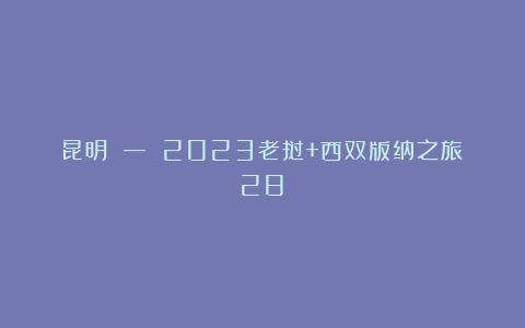 昆明 — 2023老挝+西双版纳之旅(28)