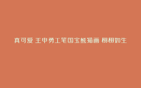 真可爱!王申勇工笔国宝熊猫画!栩栩如生!