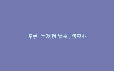 挥手,与秋别;转身,遇见冬