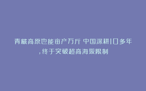 青藏高原也能亩产万斤！中国深耕10多年，终于突破超高海拔限制