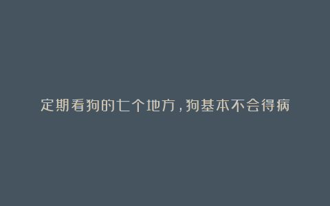 定期看狗的七个地方,狗基本不会得病
