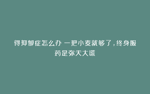 得抑郁症怎么办?一把小麦就够了,终身服药是弥天大谎