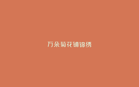万朵菊花铺锦绣
