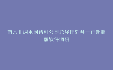 南水北调水网智科公司总经理刘琴一行赴麒麟软件调研