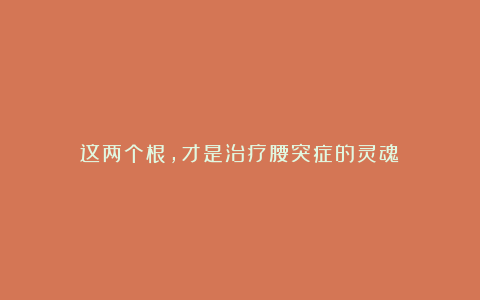 这两个根,才是治疗腰突症的灵魂!