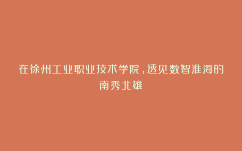 在徐州工业职业技术学院,透见数智淮海的南秀北雄