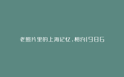 老照片里的上海记忆,相约1986