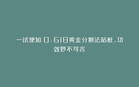 一试便知:0.618黄金分割法站桩,功效妙不可言