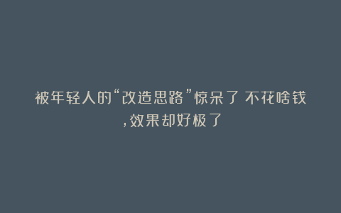 被年轻人的“改造思路”惊呆了!不花啥钱,效果却好极了