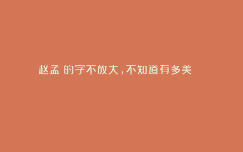 赵孟頫的字不放大,不知道有多美! 