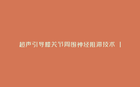 超声引导膝关节周围神经阻滞技术 1
