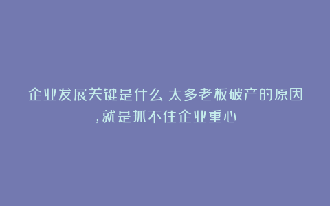 企业发展关键是什么?太多老板破产的原因,就是抓不住企业重心