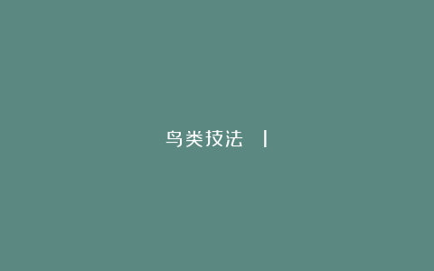 鸟类技法 (1)