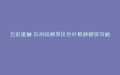 五彩斑斓!苏州园林景区色叶树种观赏攻略→
