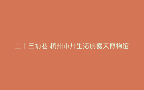 二十三坊巷:杭州市井生活的露天博物馆