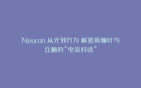 Neuron丨从光到行为:解密前额叶与丘脑的“电流对话”