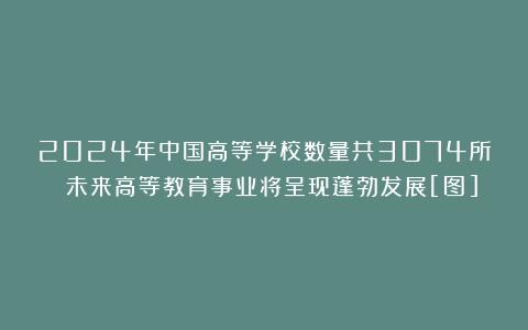 2024年中国高等学校数量共3074所 未来高等教育事业将呈现蓬勃发展[图]